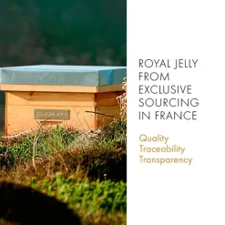 Hot Abeille Royale Fortifying Lotion Limpieza