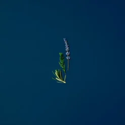 ARMANI Perfumes<Acqua Di Giò Profondo