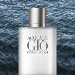 Hot Acqua Di Gio Eau De Toilette Perfumes