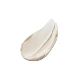 ESTEE LAUDER Antiedad|Hidratantes Faciales<Advanced Night Repair Overnight Treatment