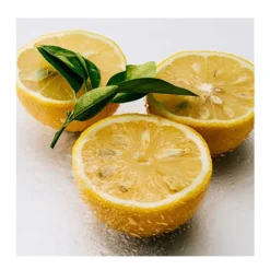 LOEWE Perfumes Unisex<Agua