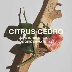 Sale Agua Fresca Citrus Cedro Perfumes