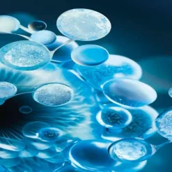 BIOTHERM Antiedad|Hidratantes Faciales<Aquasource Hydra Barrier Cream