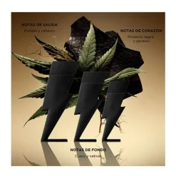 New Bad Boy Le Parfum Perfumes