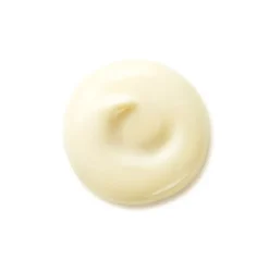 SHISEIDO Antiedad|Hidratantes Faciales<Benefiance Wrinkle Day Cream Spf 25