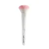 Blush Brush Brochas Y Pinceles