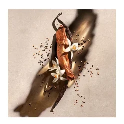 ZADIG & VOLTAIRE Línea Perfumada|Hidratantes Faciales<Body Lotion Zadig