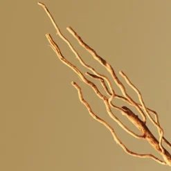 Outlet Boss Bottled Eau De Parfum Perfumes