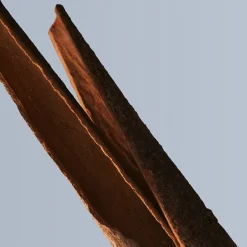 Boss Bottled Eau De Toilette Perfumes