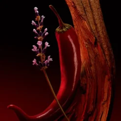 HUGO BOSS Perfumes<Boss Scent Elixir