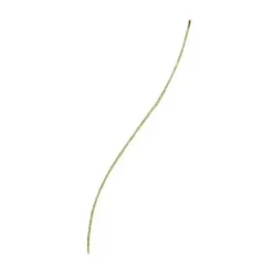 Brow Micro Fine Pencil Cejas