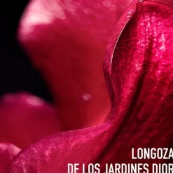 DIOR Antiedad<Capture Totale C.E.L.L. Energy Super Potent Rich Creme