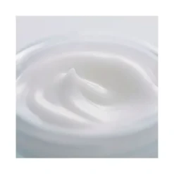 SENSAI Antiedad|Cosmética Japonesa<Cellular Performance Fresh Cream