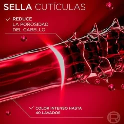 ELVIVE Hidratantes Faciales|Cabello Teñido<Champú Color Vive Protector