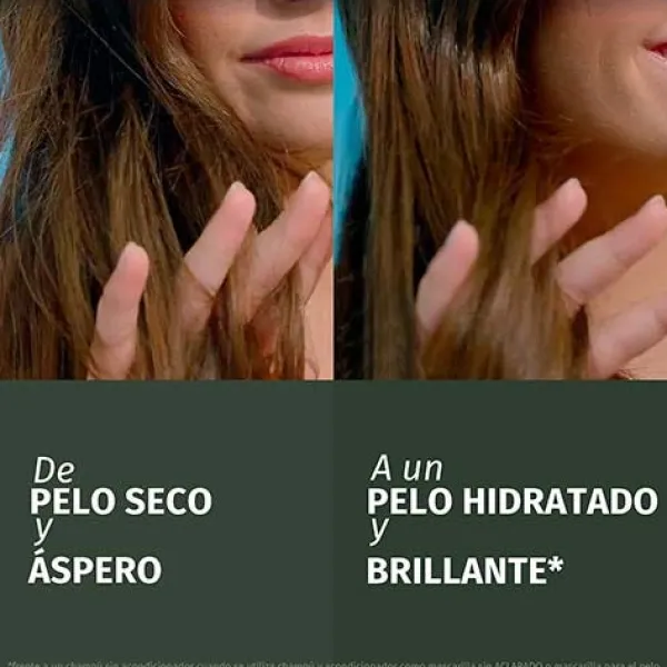 HERBAL ESSENCES Hidratantes Faciales<Champú Fortificante Aloe