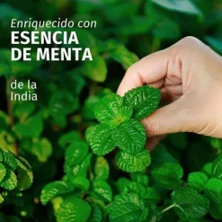 HERBAL ESSENCES Hidratantes Faciales|Cruelty Free<Champú Purificante Menta