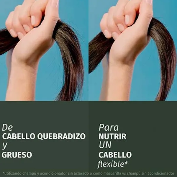 HERBAL ESSENCES Hidratantes Faciales<Champú Reparador Aceite Argán