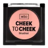 New Check To Check Blusher Coloretes
