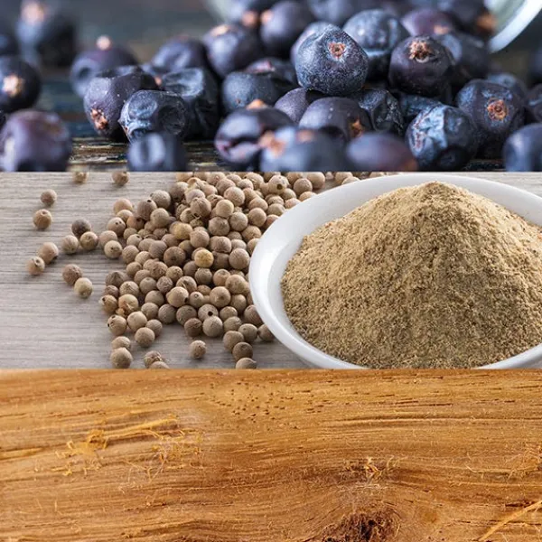 CALVIN KLEIN Perfumes Unisex<Ck Be