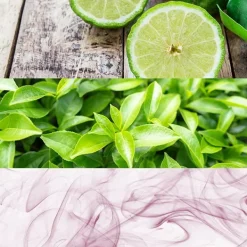 CALVIN KLEIN Perfumes Unisex<Ck One