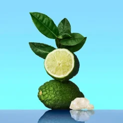 CALVIN KLEIN Perfumes Unisex<Ck One