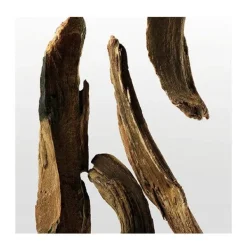 CALVIN KLEIN Perfumes Unisex<CK One Essence