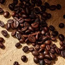 Best Cofre Devotion Male Estuches Hombre