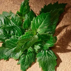 DOLCE & GABBANA Estuches Hombre|Hidratantes Faciales<Cofre Devotion Male