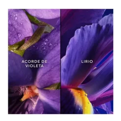 Best Cofre Insolence Estuches Mujer