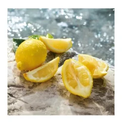 DOLCE & GABBANA Perfumes Mujer|Estuches Mujer<Cofre Light Blue 100ML