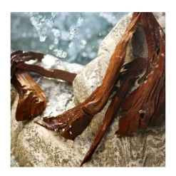 DOLCE & GABBANA Perfumes Mujer|Estuches Mujer<Cofre Light Blue 100ML