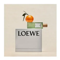 LOEWE Estuches Mujer|Hidratantes Faciales<Cofre Sutileza