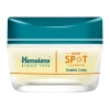 Hot Dark Spot Clearing Turmeric Cream Rostro