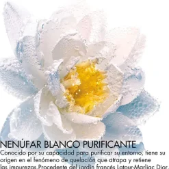 Desmaquillante De Ojos Y Labios Limpieza