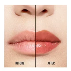 Best Addict Lip Maximizer Gloss De Labios