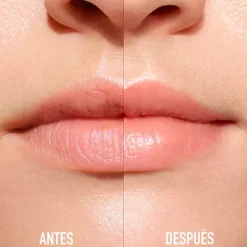 Best Addict Lip Maximizer Gloss De Labios