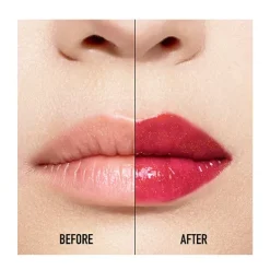 Best Addict Lip Maximizer Gloss De Labios