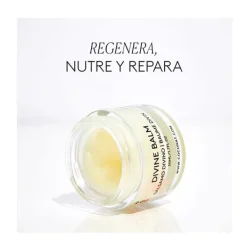 COCUNAT Bálsamos Labiales|Rostro<Divine Balm