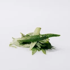 New Esencia Eau De Parfum Perfumes