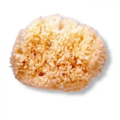 SUAVINEX Hidratantes Faciales|Esponjas<Esponja Natural Grande