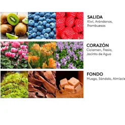 ADIDAS Estuches Mujer|Perfumes Mujer<Estuche Fruity