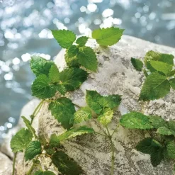 Sale Estuche D&G Light Blue Pour Homme Estuches Hombre