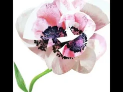 Estuche Narciso For Her Estuches Mujer