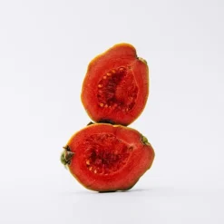 Sale Estuche Solo Estuches Hombre