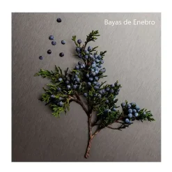 CALVIN KLEIN Perfumes<Eternity Aromatic Essence