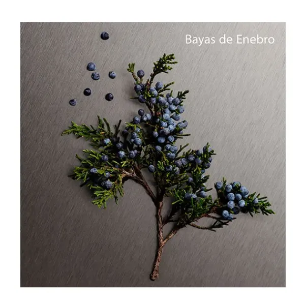 CALVIN KLEIN Perfumes<Eternity Aromatic Essence