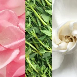 MARIO BADESCU Hidratación|Brumas Faciales<Facial Spray Aloe, Herbs & Rosewater