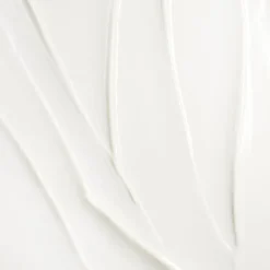 BIOTHERM Antiedad|Hidratantes Faciales<Force Supreme Cream