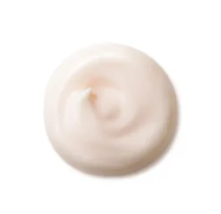 SHISEIDO Antiedad|Cosmética Japonesa<Future Solution Lx Day Cream Spf 20