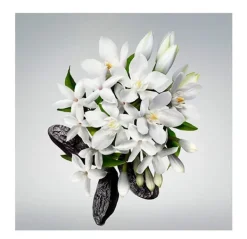 CAROLINA HERRERA Línea Perfumada|Hidratantes Faciales<Good Girl Body Cream